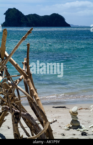 Pile de bois flotté sur la plage, Gemstone Bay, Nouvelle-Zélande Banque D'Images