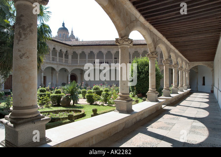 Vue de la cathédrale à travers le cloître dans le Convento de Las Dueñas, Salamanque, Castille et Leon, Espagne Banque D'Images