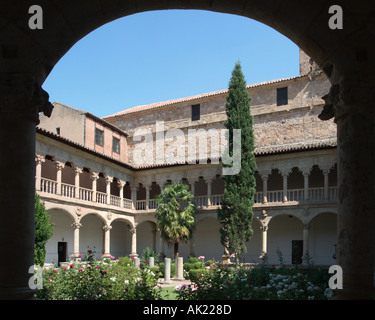 Cloître dans le Convento de Las Dueñas, Salamanque, Castille et Leon, Espagne Banque D'Images