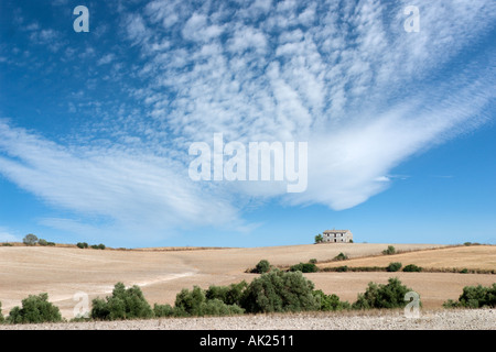 Paysage rural dans la région de Ronda, Andalousie, Espagne Banque D'Images