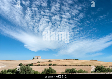 Paysage rural dans la région de Ronda, Andalousie, Espagne Banque D'Images