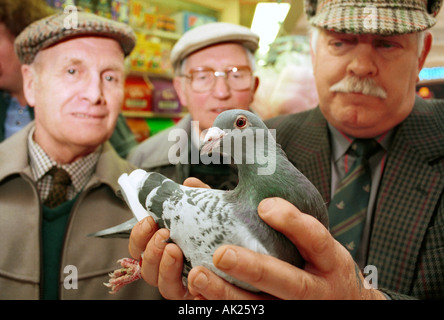 Pigeon fanciers au UK National show à Blackpool Banque D'Images