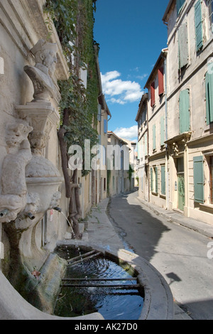 Nostradamus fontaine à eau dans la vieille ville, St-Rémy-de-Provence (lieu de naissance de Nostradamus), Provence, France Banque D'Images