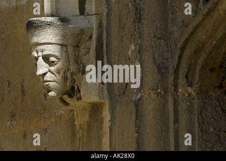 Sculptures en pierre ornés sur les murs de la Bibliothèque bodléienne de l'Université d'Oxford en Angleterre Banque D'Images