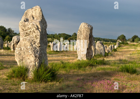 Mégalithes en fin d'après-midi, juste avant une tempête, Alignements de Kermario, Carnac, Bretagne, France Banque D'Images