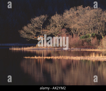 Loch Chon près de Aberfoyle, les Trossachs, Stirling, Scotland, UK Banque D'Images