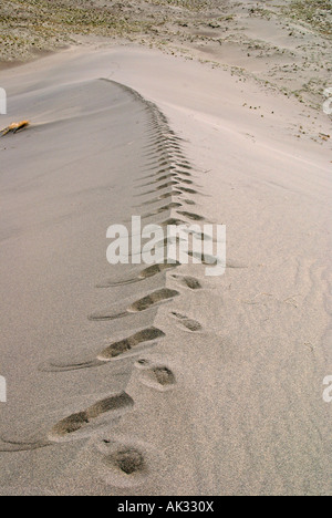 Étapes d'une dune de sable Bruneau Dunes State Park, New York. Banque D'Images