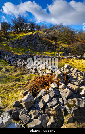 Mur en pierre sèche abandonnés au fond de velours sur les collines de Mendip Somerset en Angleterre. Banque D'Images