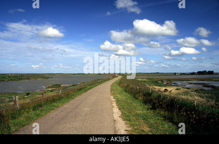 Digue entre deux zones humides sur Schouwen-Duiveland, Pays-Bas Banque D'Images