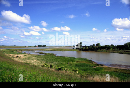 De nouvelles zones humides développés sur Schouwen Duiveland, Pays-Bas Banque D'Images