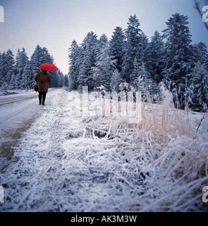 La Pologne, la scène d'hiver, Femme avec parapluie rouge. Banque D'Images