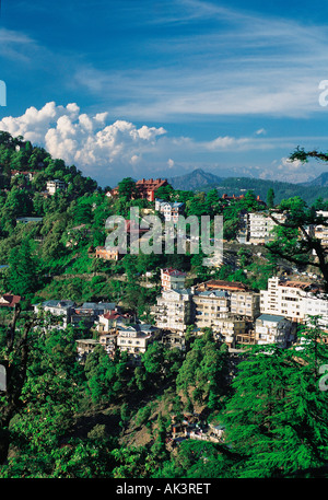 L'Inde. L'Himachal Pradesh. Shimla. Aperçu de la ville. Banque D'Images