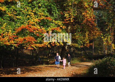 Family walking on path, parc national New Forest, Hampshire, Angleterre, Royaume-Uni Banque D'Images