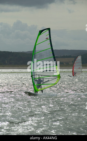 Planche à voile sur l'estuaire de la rivière Exe Grande-bretagne Devon Exmouth Banque D'Images