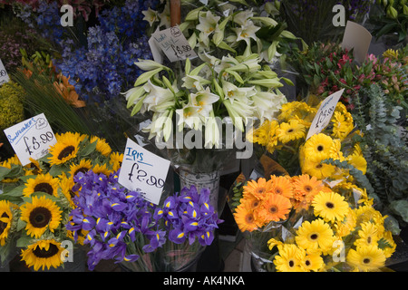 Décrochage de fleuristes Banque D'Images