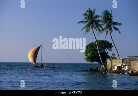 Oruvas bateau naviguant le long de la côte à Negombo Banque D'Images