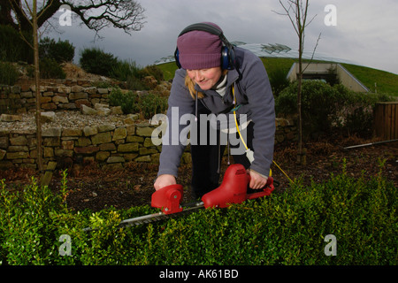 Membre du personnel d'une coupe de jardinage fort hedge au Jardin Botanique National du Pays de Galles Llanarthne Carmarthenshire West Wales UK Banque D'Images