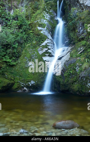 Dorothy tombe près du lac Kaniere Côte ouest de l'île du Sud Nouvelle-Zélande Banque D'Images