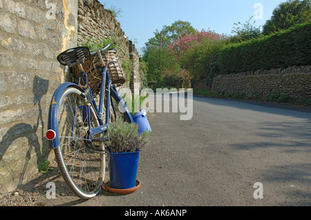 Location et de fleurs appuyé contre un mur en pierre de Cotswold Banque D'Images