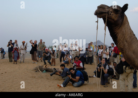 Photographes à Pushkar camel et de l'élevage qui a lieu au mois de Kartik hindou dix jours après Diwali Banque D'Images