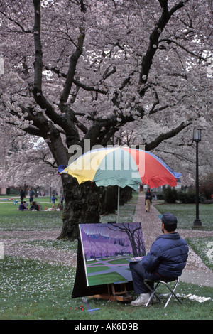 Artiste crée Printemps Scenic sous le couvert de l'épanouissement des Cerisiers sur Campus de l'Université de Washington Seattle Washington Banque D'Images