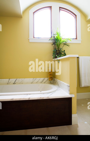 En Jacuzzi dans salle de bains contemporaine Banque D'Images