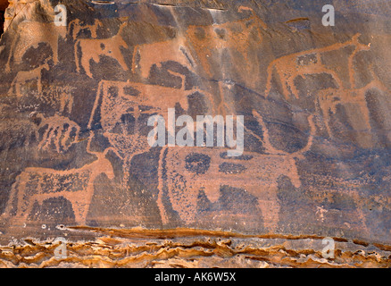 L'année 4000 vieux rock carvings Ukas Anti Atlas montagne Maroc Banque D'Images