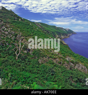 Voir à au nord de la côte est de l'île de Lundy côte nord du Devon avec deux visiteurs marche sur chemin falaise Angleterre Banque D'Images