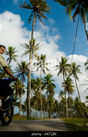 Un pilote moto parmi les cocotiers à Terengganu Malaisie Banque D'Images