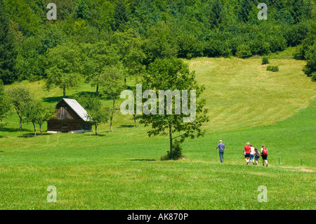 Les randonneurs dans les prairies alpines à Voje dans les Alpes Juliennes en Slovénie Banque D'Images