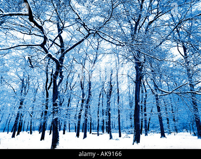 Les arbres dans la neige hiver1 belvedere Kent England uk Banque D'Images