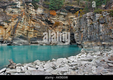 La rivière Athabasca coule tranquillement au-dessous de l'invisible de puissantes chutes Athabasca Jasper National Park, Alberta, Canada Banque D'Images