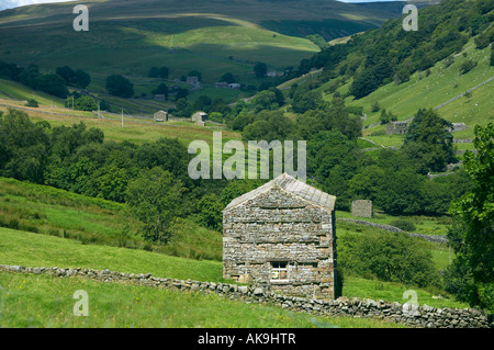 La grange en pierre près de Mickfield Swaledale Yorkshire Dales National Park en Angleterre Banque D'Images