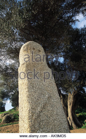 France Corse Site Archéologique De Filitosa Avec Des - 