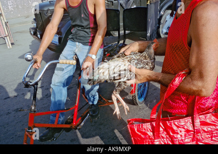 Scène au marché de plein air à Baracoa Cuba qui a lieu tous les Samedi Banque D'Images