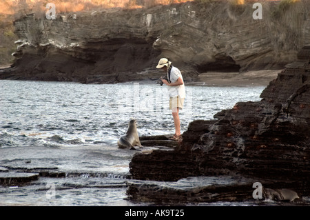 Lion de mer mâle photographie touristique des îles Galapagos, Equateur Banque D'Images