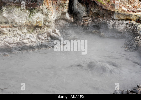 Source thermale chaude près de Furnas lake sur l'île de São Miguel, aux Açores. Banque D'Images