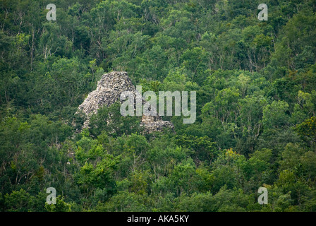 Vue aérienne d'une pyramide solitaire en vert Désert de la Canopée Jungle ruines Maya Coba Quintana Roo Mexique 2007 NR Banque D'Images