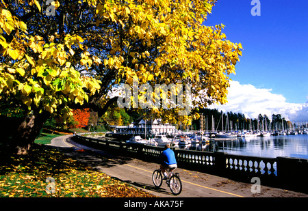 Randonnée à vélo dans le parc Stanley. Vancouver. La Colombie-Britannique. Canada Banque D'Images