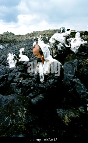 Nettoyage du déversement de pétrole à des bénévoles de la côte de Galice Espagne naufrage du Prestige (2002) Banque D'Images