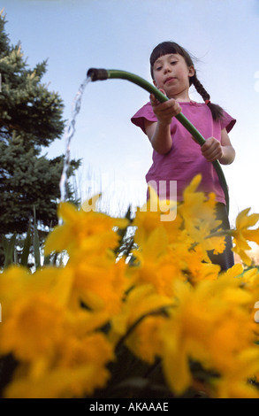 Jeune fille d'arroser les jonquilles Banque D'Images