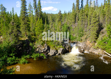 Rancheria Falls Site loisirs le long de route de l'Alaska Al Alcan Canada Territoire du Yukon peut Banque D'Images