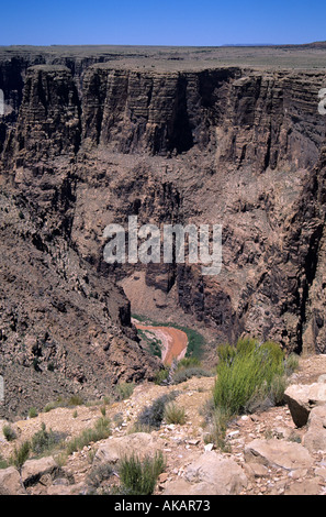 Une gorge qui fait partie d'une série de canyons près du Grand Canyon montrant le fleuve Colorado ci-dessous Banque D'Images