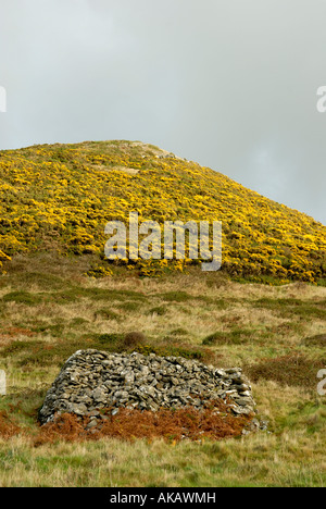 Cairn préhistorique près de Penderi oakwoods sur la côte Ceredigion, pays de Galles. Banque D'Images