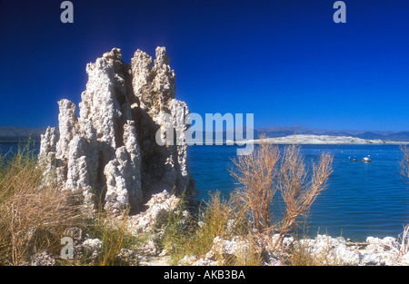 Lac Mono Sierra Nevada avec flèches de tuf de carbonate de calcium lac Mono Réserve d'état de tuf de l'ouest de l'État de Californie US Banque D'Images