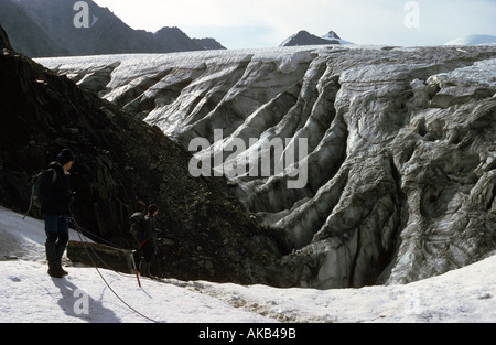 Deux alpinistes regardant les crevasses sur le glacier de Taschach, Alpes de l'Ötztal, Autriche Banque D'Images