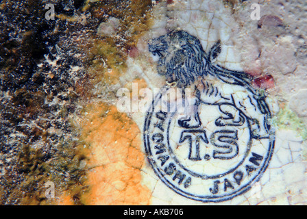 Le logo de Toyohashi un graphique représentant un insigne bleu profil d'un lion roaring est trouvé sur un artefact en porcelaine craquelée Banque D'Images