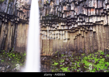 L'Islande, du sud de Vatnajokull, le parc national de Skaftafell, cascade de Svartifoss Banque D'Images