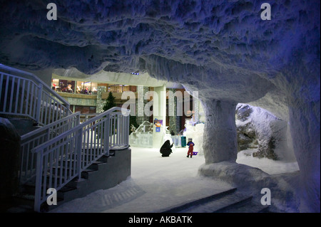 Émirats Arabes Unis, Dubai, Al-Soufouh, Mall of the Emirates, Ski Dubaï Banque D'Images