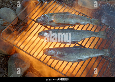 Trois poissons cuisson sur feu ouvert Banque D'Images